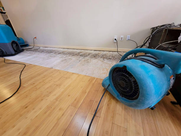 Professional Water Damage Repair technician working in New Trenton, IN